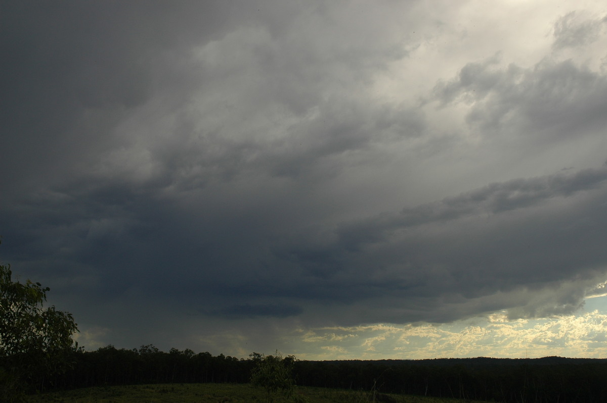 cumulonimbus thunderstorm_base : Whiporie, NSW   11 November 2006