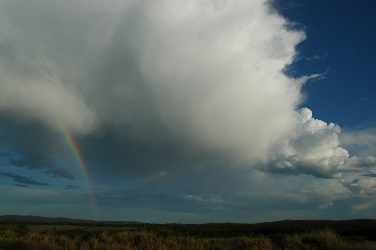 virga virga_pictures : Whiporie, NSW   11 November 2006