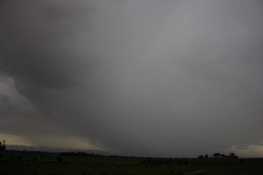 raincascade precipitation_cascade : N of Port Macquarie, NSW   13 November 2006