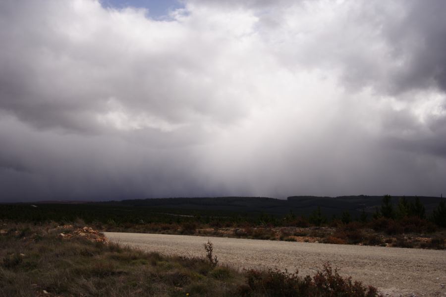 stratocumulus stratocumulus_cloud : Shooters Hill, NSW   15 November 2006