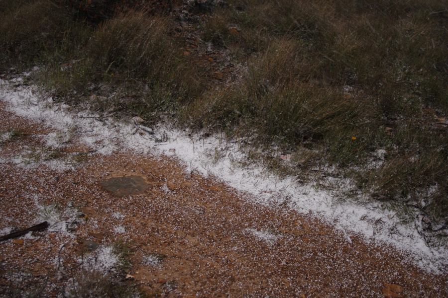 hailstones hail_stones : Shooters Hill, NSW   15 November 2006