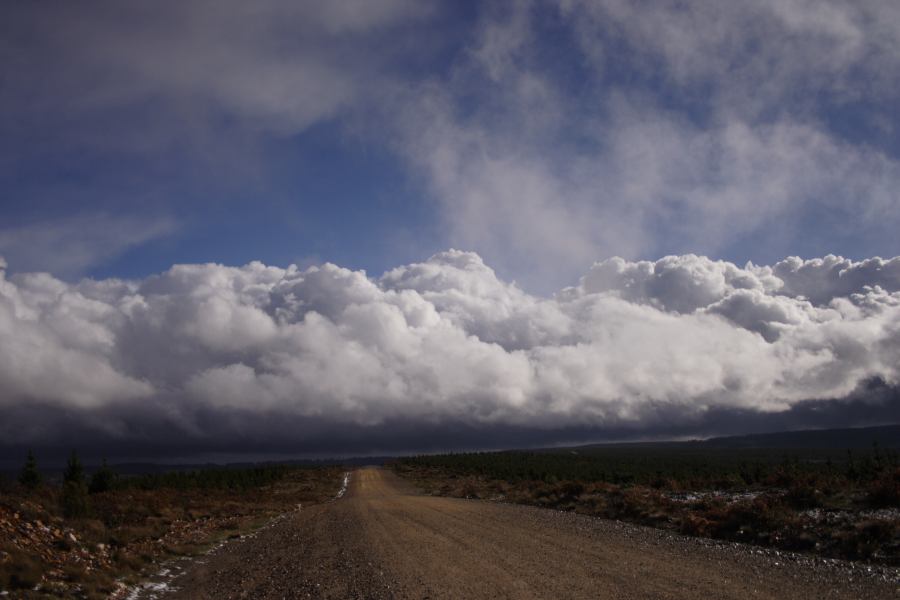 cumulus mediocris : Shooters Hill, NSW   15 November 2006