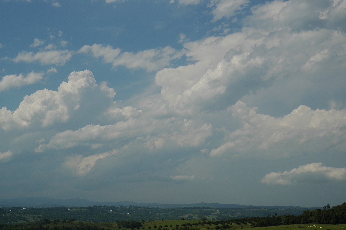 cumulus congestus : McLeans Ridges, NSW   15 November 2006