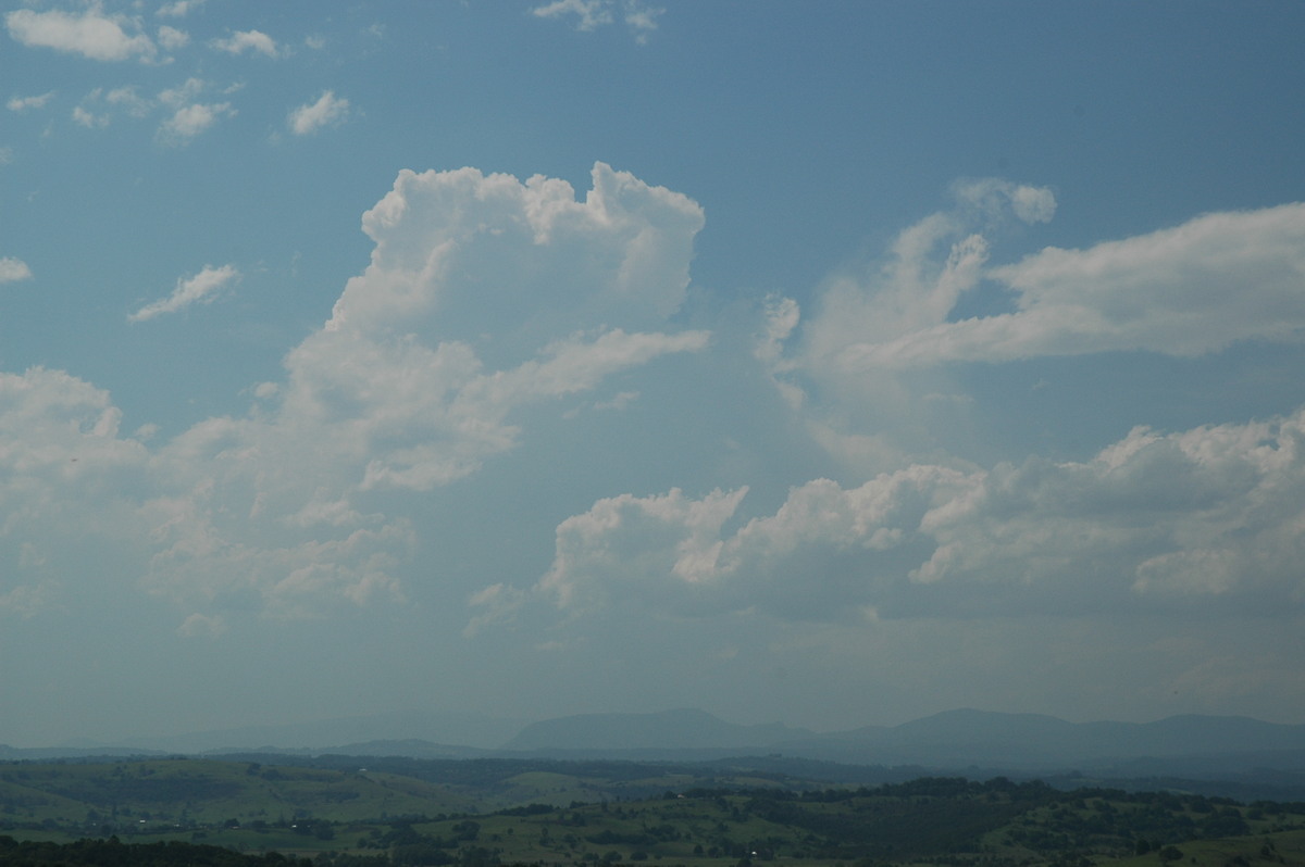 cumulus congestus : McLeans Ridges, NSW   15 November 2006