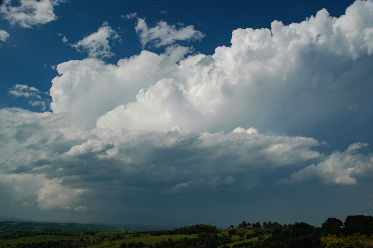 cumulonimbus supercell_thunderstorm : McLeans Ridges, NSW   15 November 2006