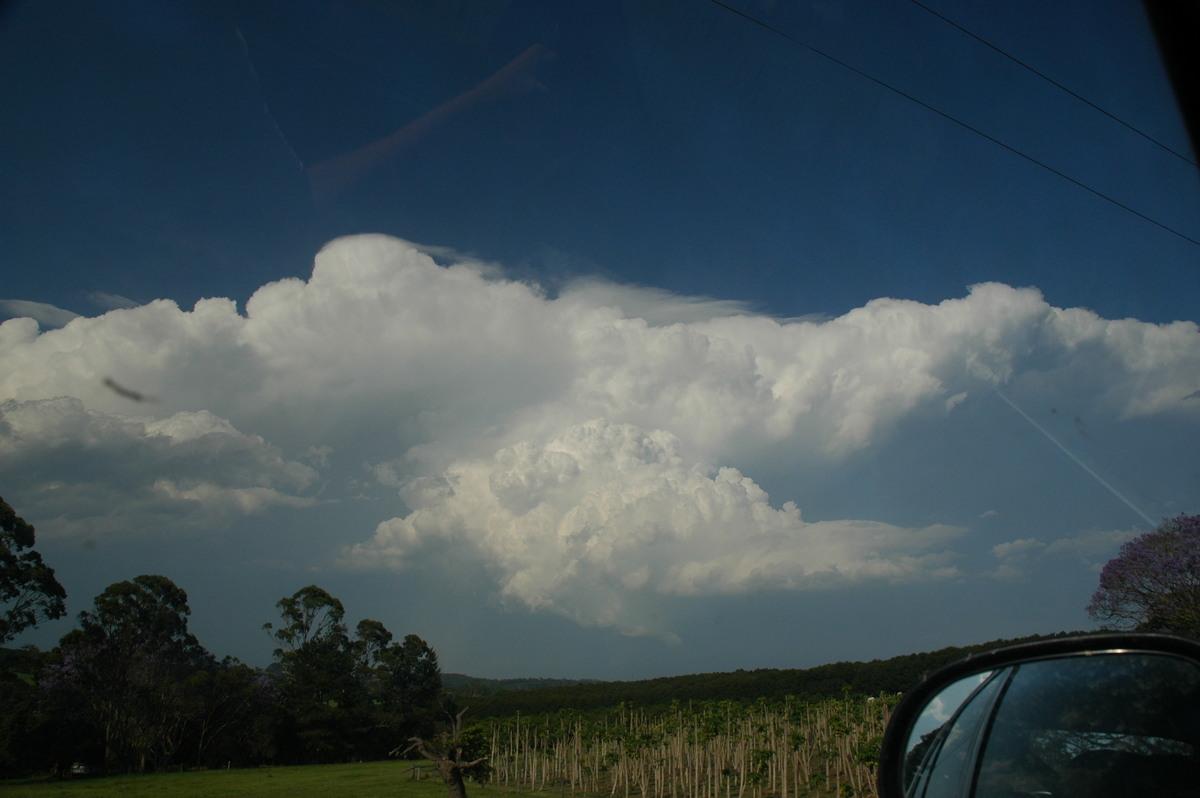 thunderstorm cumulonimbus_incus : Alstonville, NSW   15 November 2006