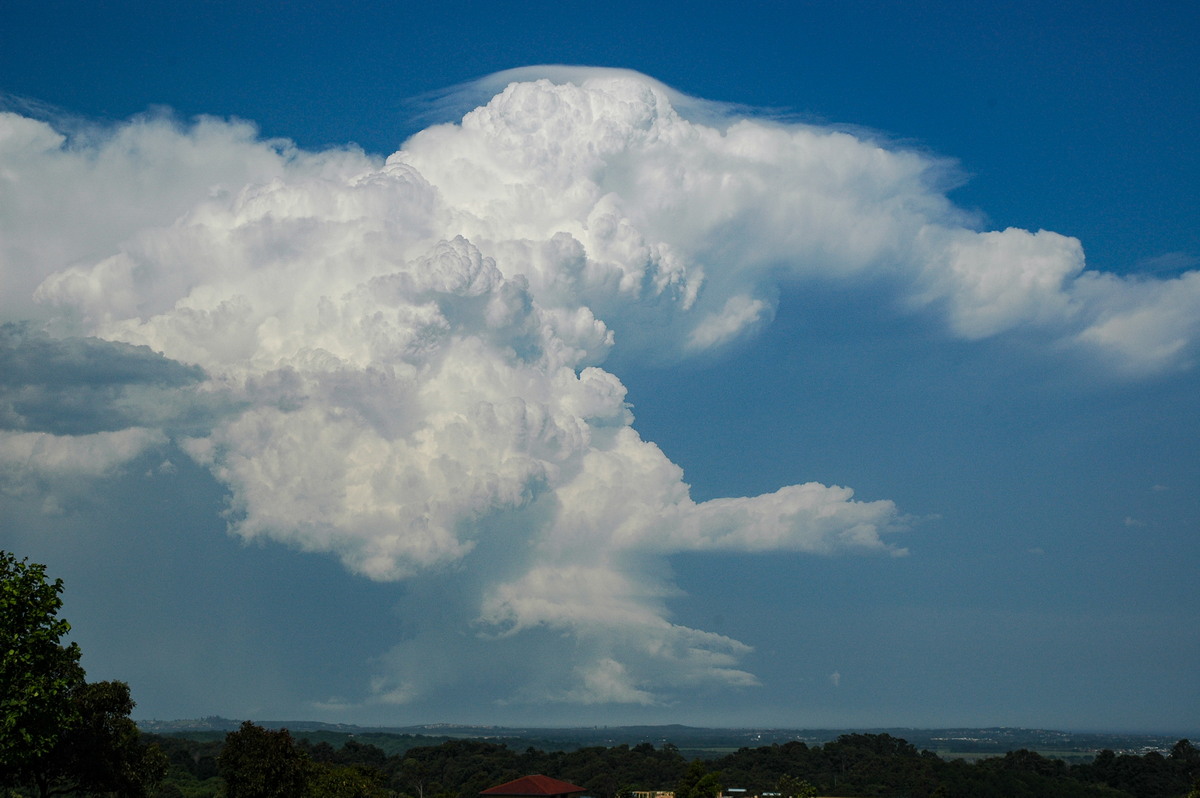 updraft thunderstorm_updrafts : Alstonville, NSW   15 November 2006