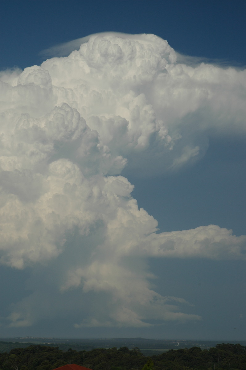 cumulonimbus supercell_thunderstorm : Alstonville, NSW   15 November 2006