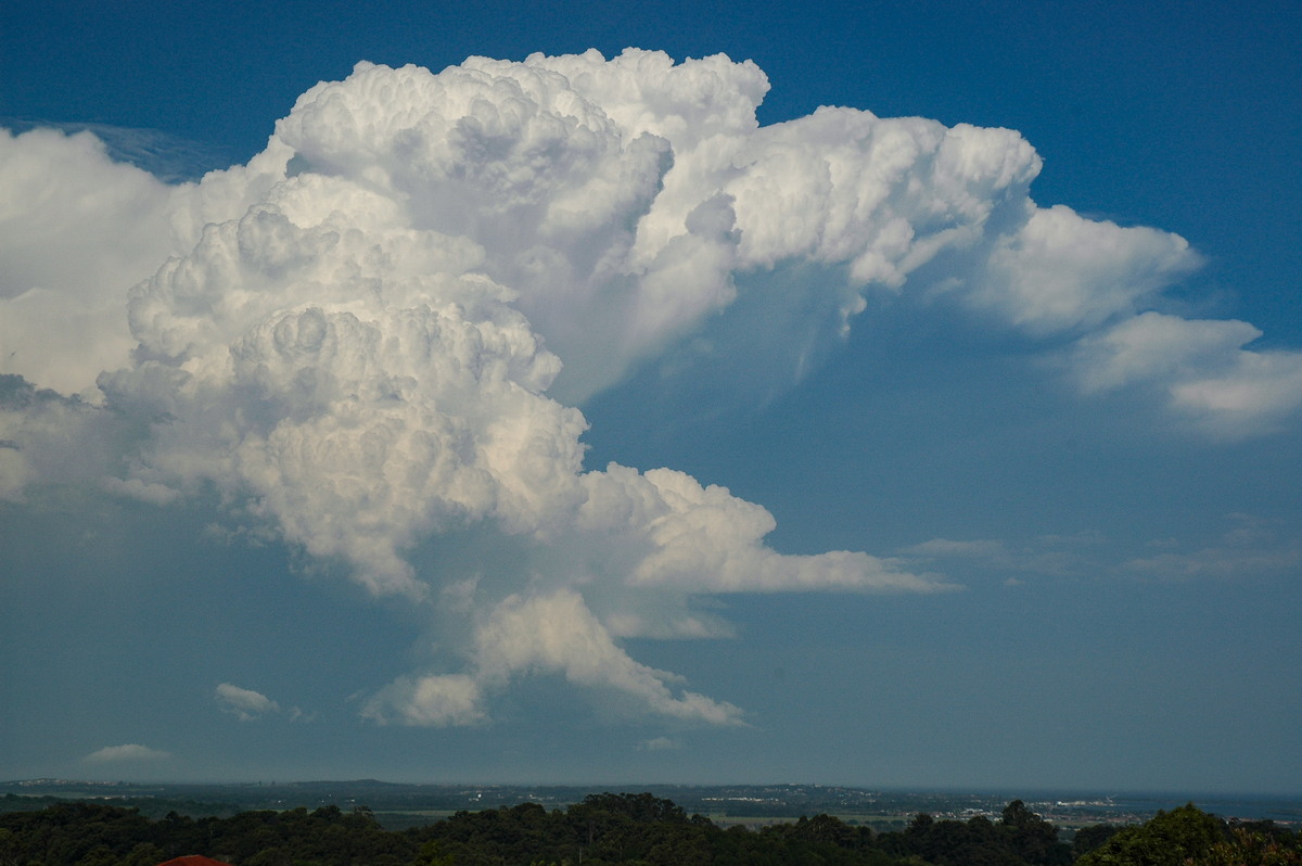 anvil thunderstorm_anvils : Alstonville, NSW   15 November 2006