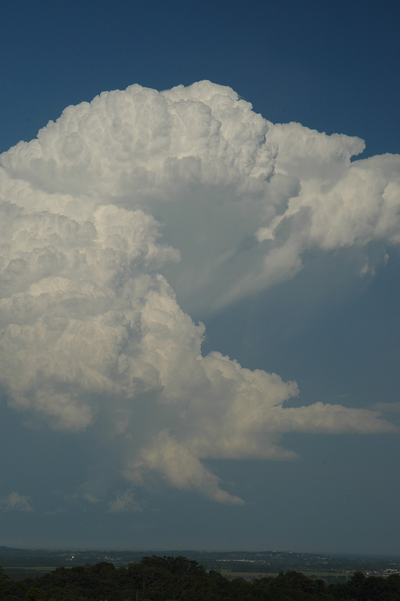 cumulonimbus supercell_thunderstorm : Alstonville, NSW   15 November 2006