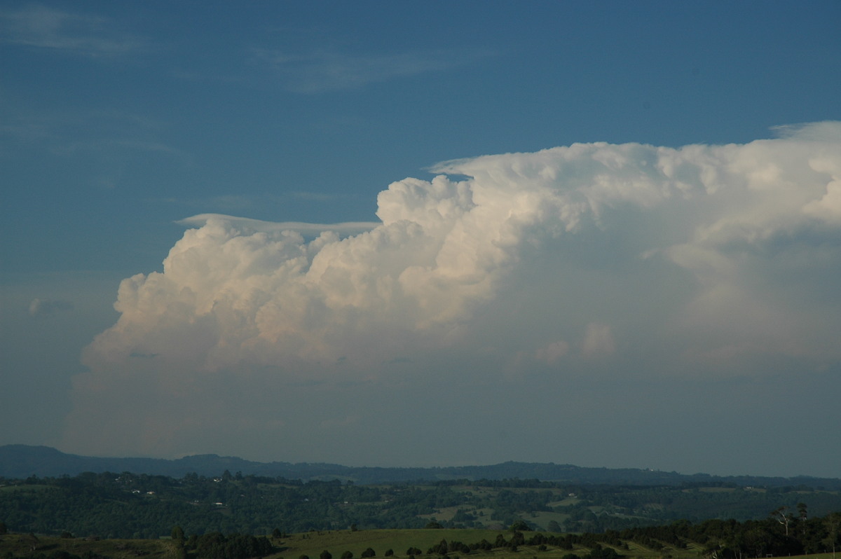 thunderstorm cumulonimbus_incus : McLeans Ridges, NSW   15 November 2006