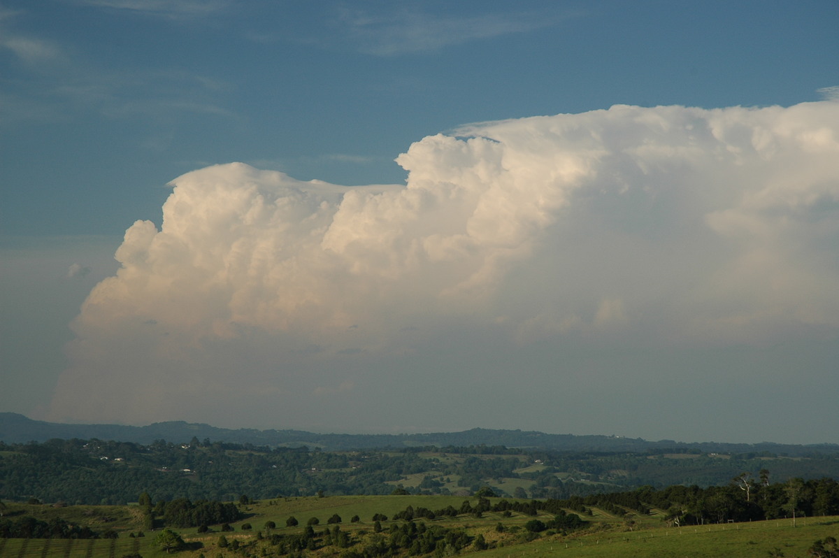 thunderstorm cumulonimbus_incus : McLeans Ridges, NSW   15 November 2006