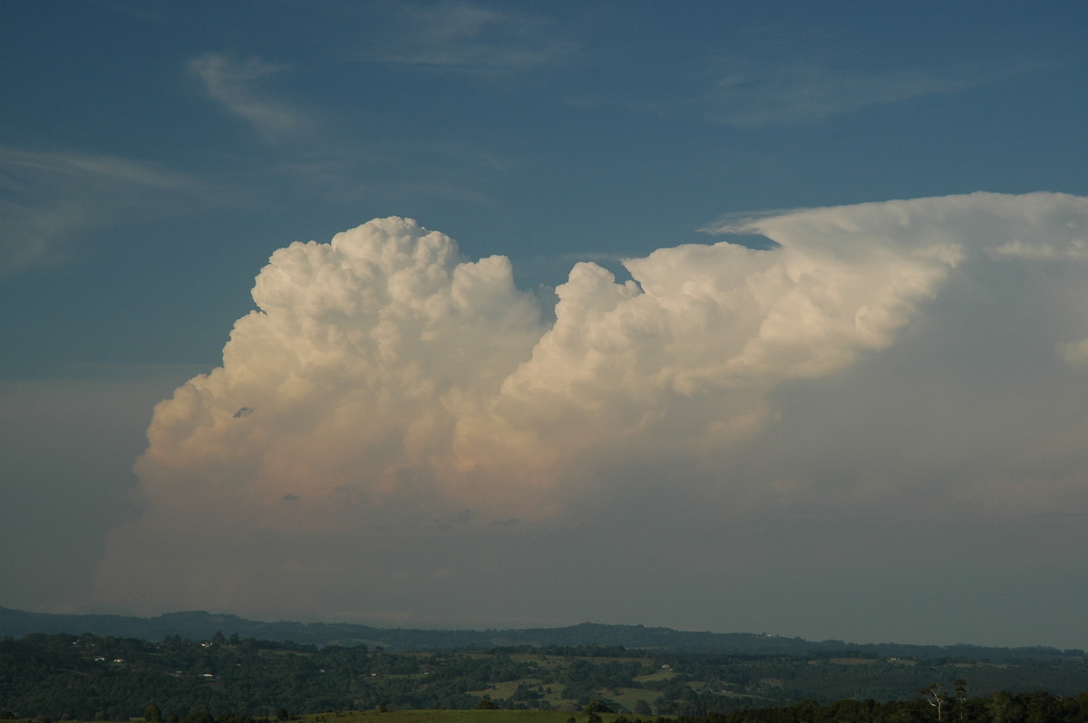 thunderstorm cumulonimbus_incus : McLeans Ridges, NSW   15 November 2006