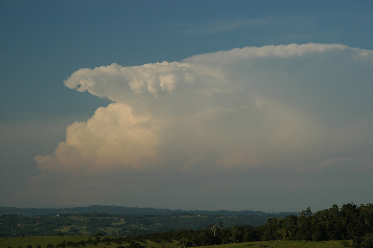 anvil thunderstorm_anvils : McLeans Ridges, NSW   15 November 2006