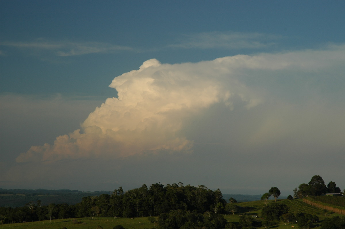 thunderstorm cumulonimbus_incus : McLeans Ridges, NSW   15 November 2006