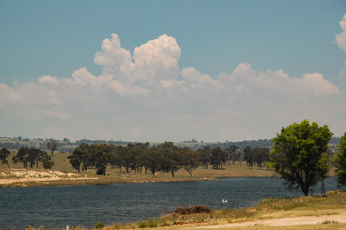 cumulus congestus : Tenterfield, NSW   24 November 2006