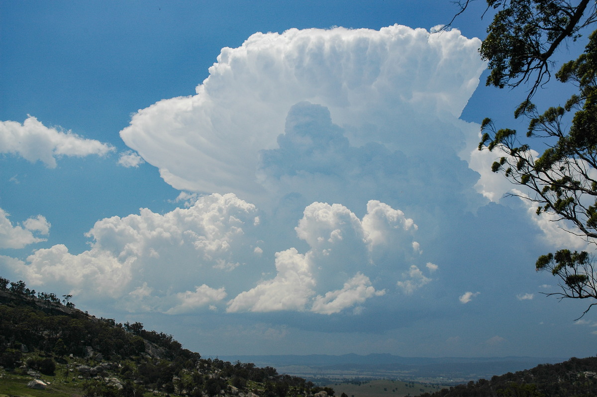 updraft thunderstorm_updrafts : Tenterfield, NSW   24 November 2006