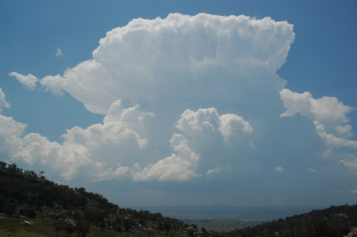 thunderstorm cumulonimbus_incus : Tenterfield, NSW   24 November 2006