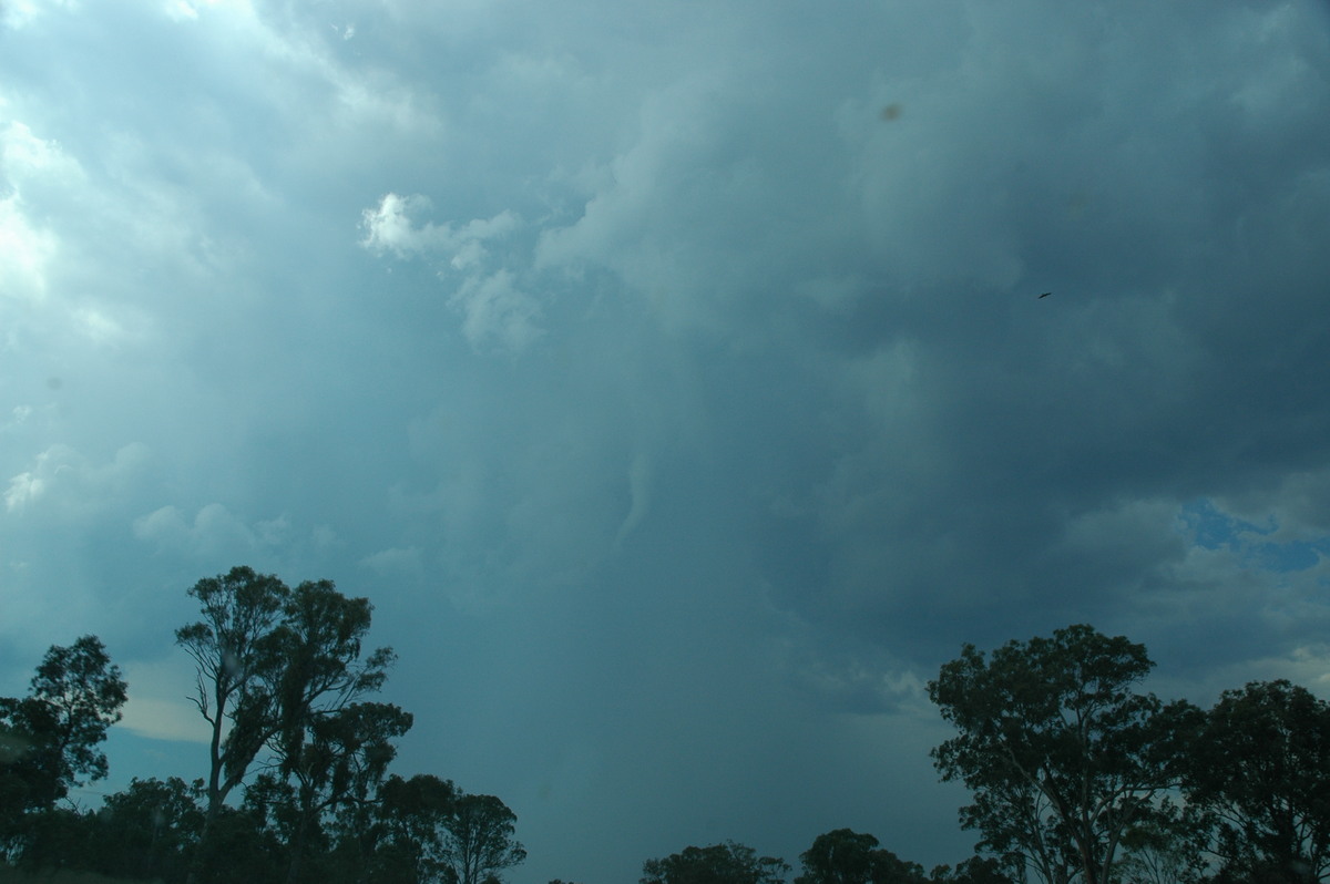 cumulonimbus thunderstorm_base : N of Tenterfield, NSW   24 November 2006