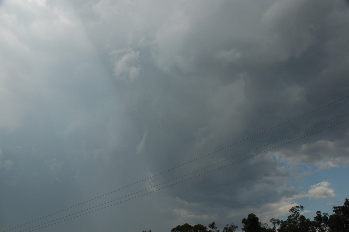 cumulonimbus thunderstorm_base : N of Tenterfield, NSW   24 November 2006