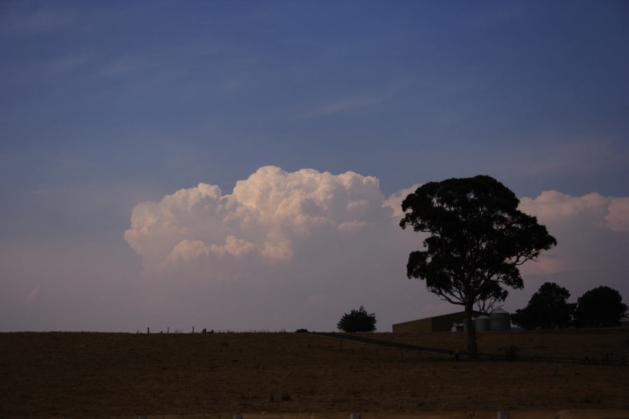 thunderstorm cumulonimbus_calvus : Lithgow, NSW   26 November 2006