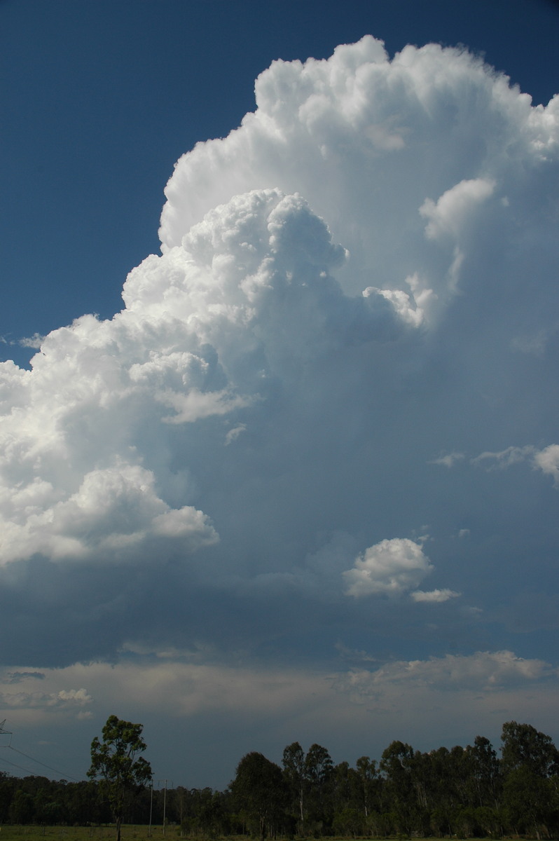 cumulus congestus : Myrtle Creek, NSW   26 November 2006