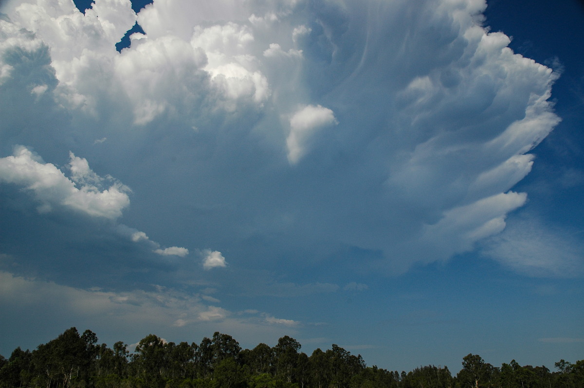 anvil thunderstorm_anvils : Myrtle Creek, NSW   26 November 2006