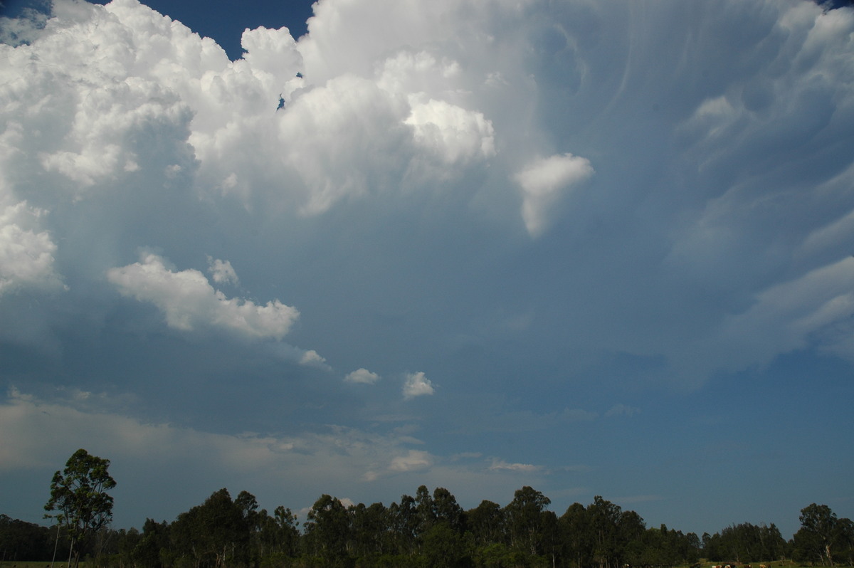 updraft thunderstorm_updrafts : Myrtle Creek, NSW   26 November 2006