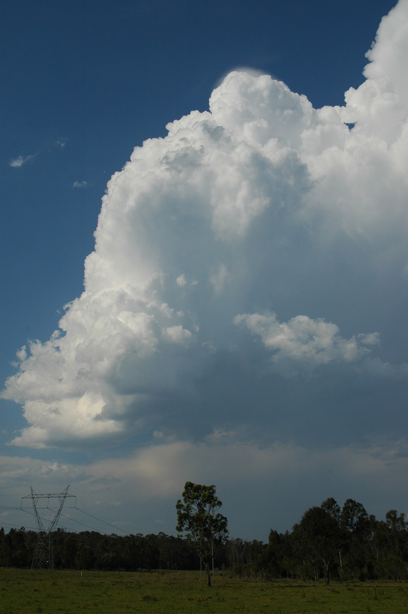 thunderstorm cumulonimbus_calvus : Myrtle Creek, NSW   26 November 2006