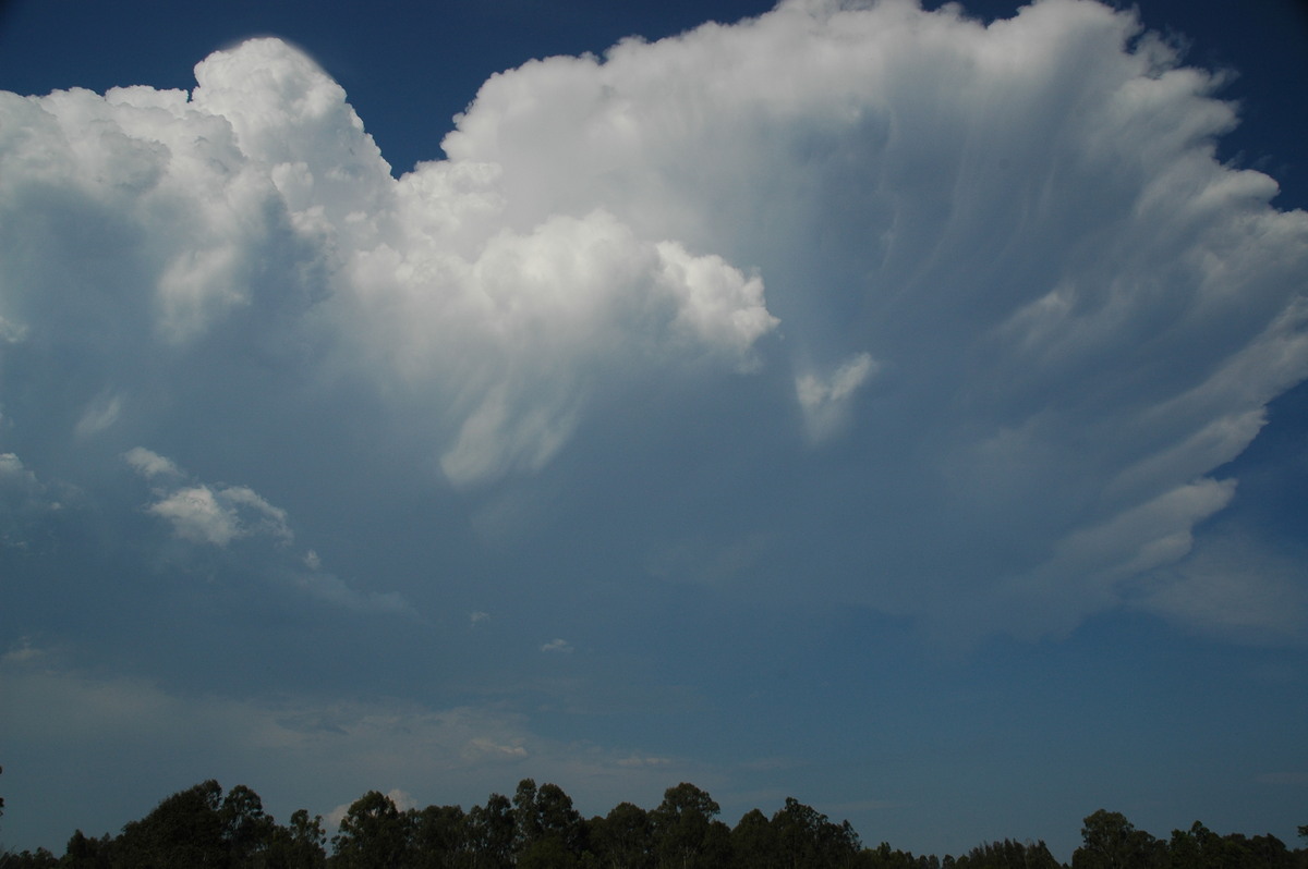 anvil thunderstorm_anvils : Myrtle Creek, NSW   26 November 2006