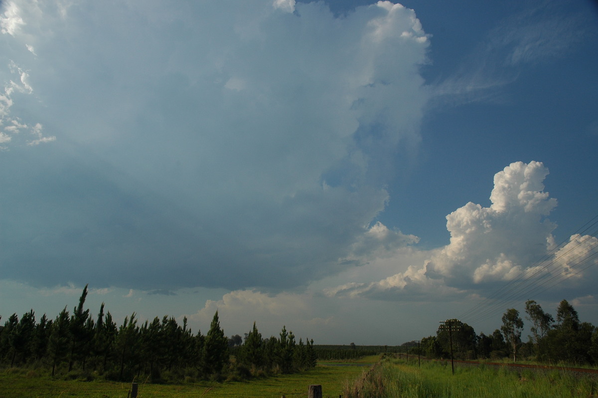thunderstorm cumulonimbus_calvus : Coombell, NSW   26 November 2006