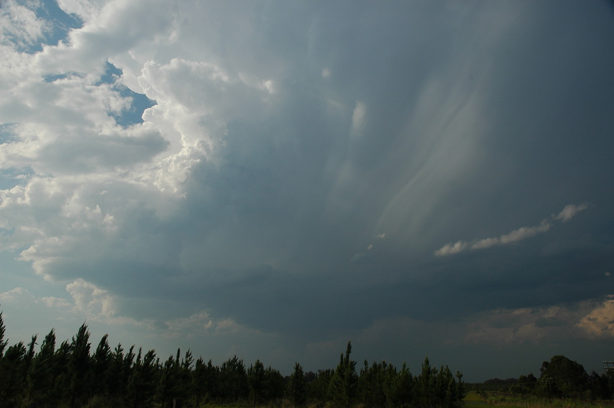 cumulonimbus thunderstorm_base : Coombell, NSW   26 November 2006