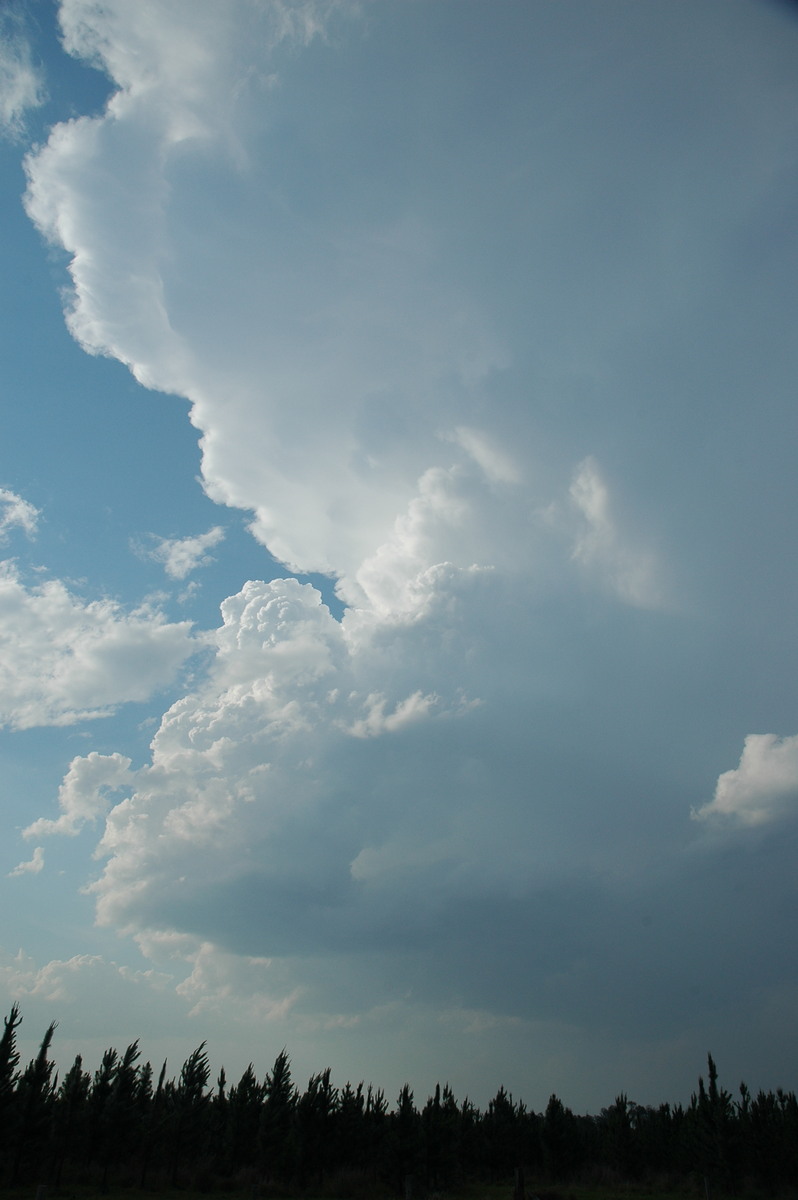 updraft thunderstorm_updrafts : Coombell, NSW   26 November 2006