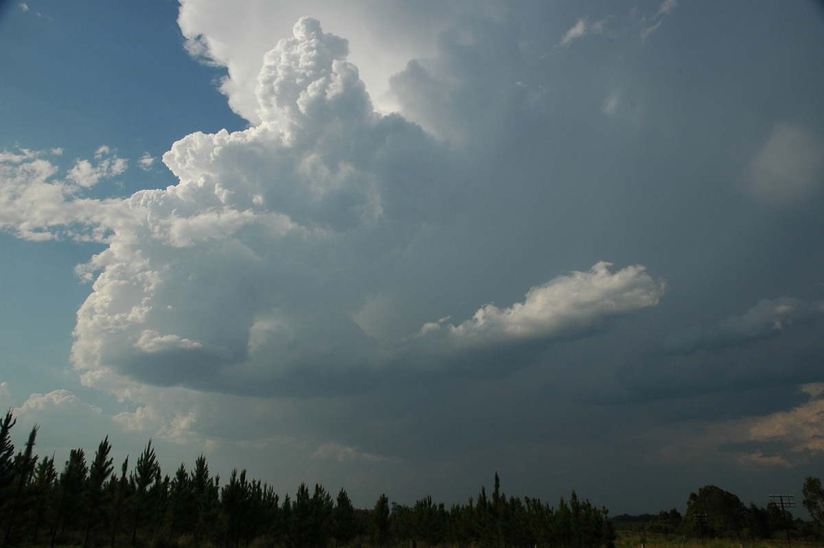 thunderstorm cumulonimbus_incus : Coombell, NSW   26 November 2006