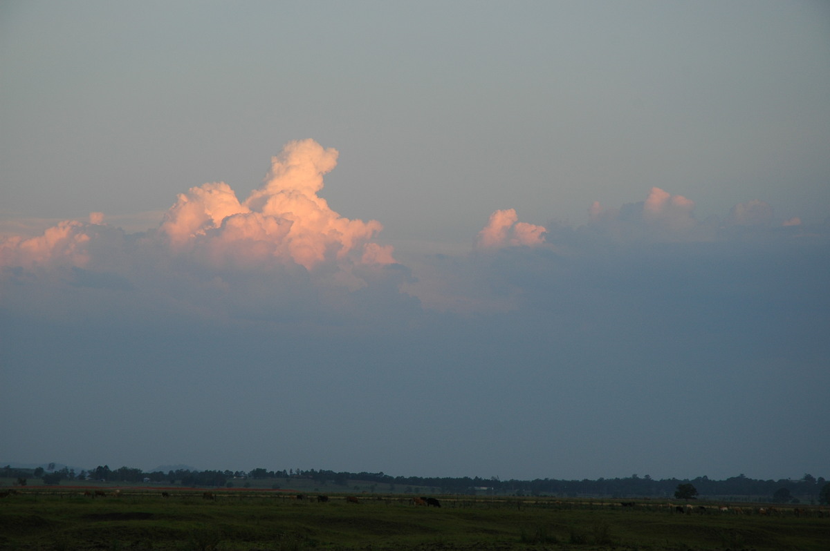 cumulus congestus : Casino, NSW   26 November 2006