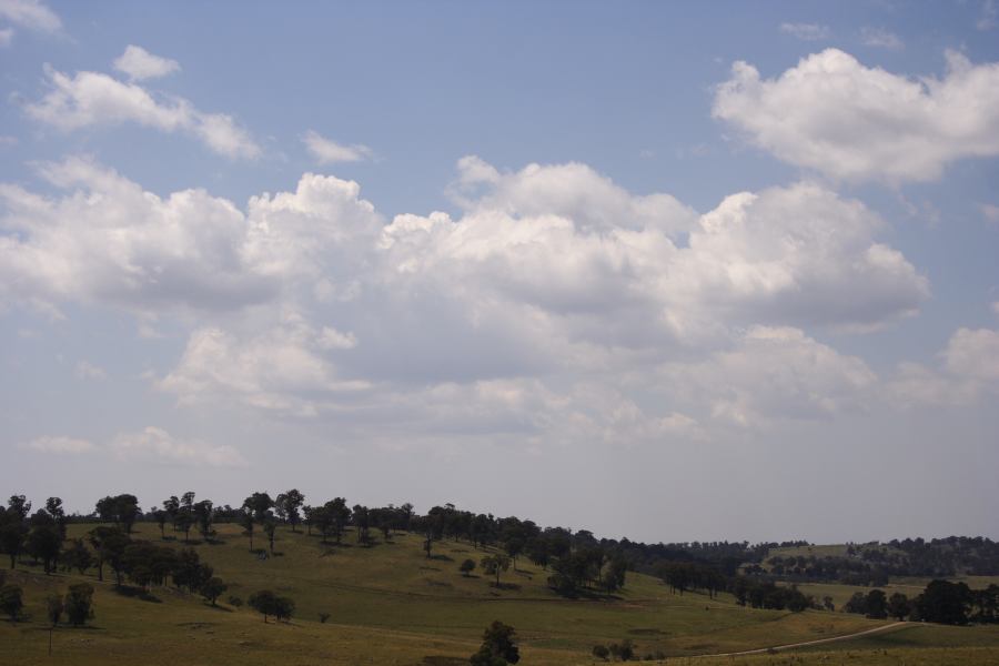 cumulus humilis : SE of Guyra, NSW   27 November 2006