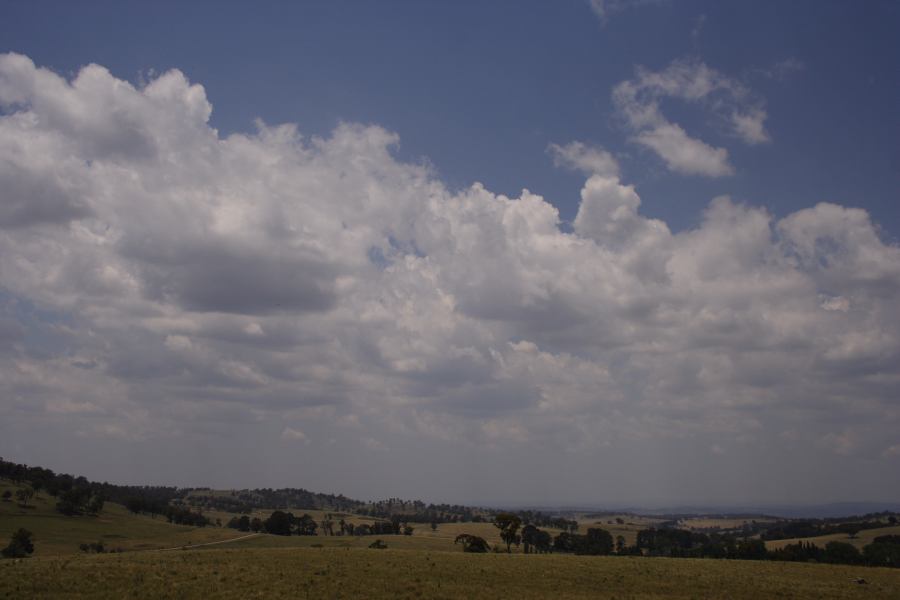 cumulus mediocris : SE of Guyra, NSW   27 November 2006