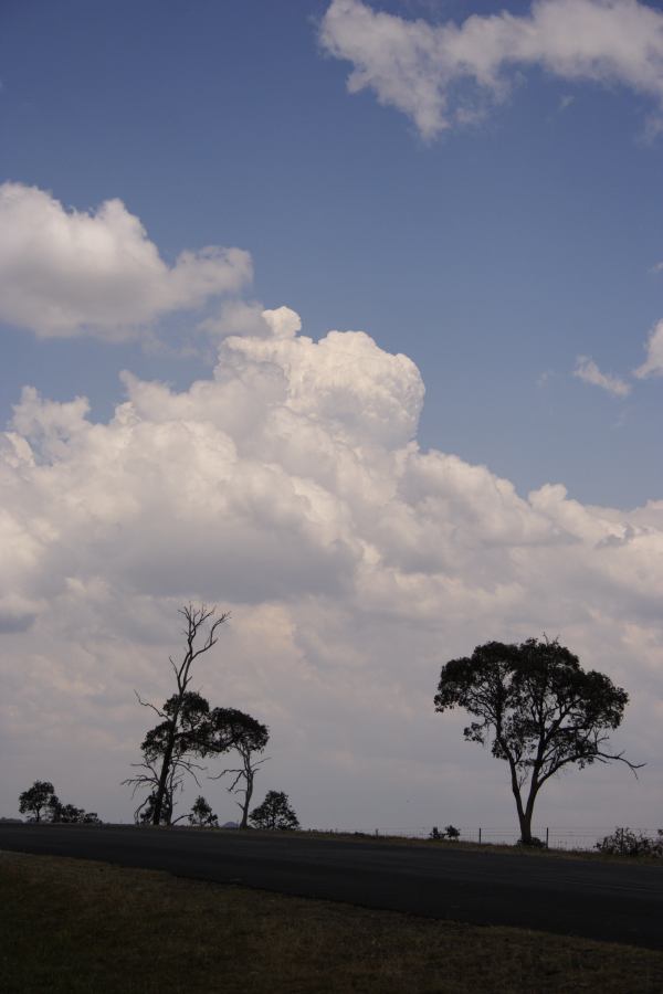 cumulus mediocris : E of Guyra, NSW   27 November 2006