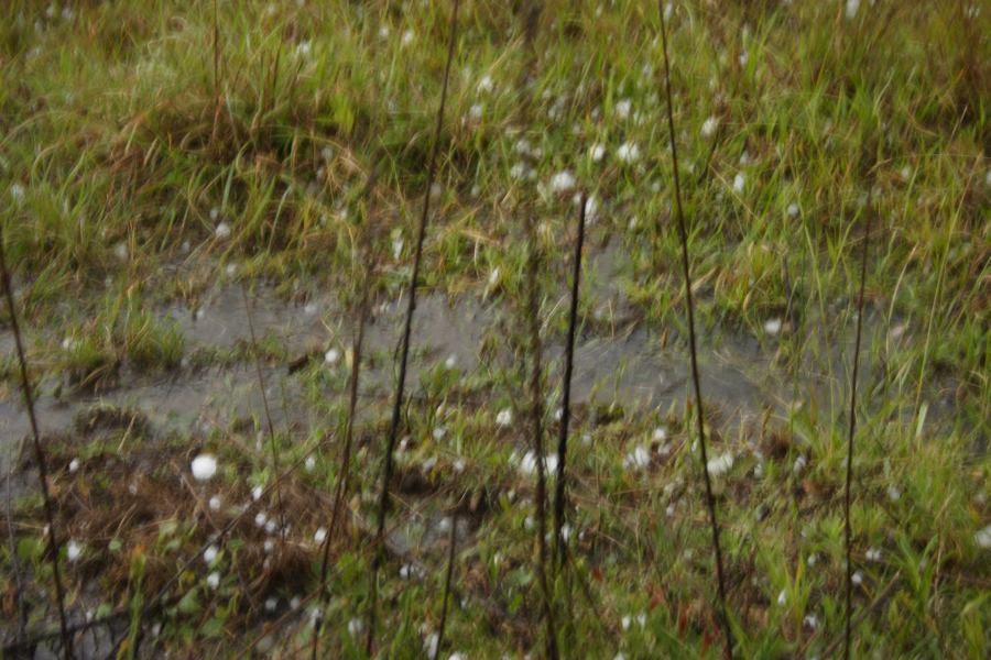 hailstones hail_stones : WNW of Ebor, NSW   27 November 2006