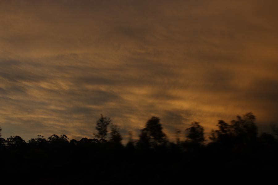 altostratus altostratus_cloud : N of Kew, NSW   28 November 2006