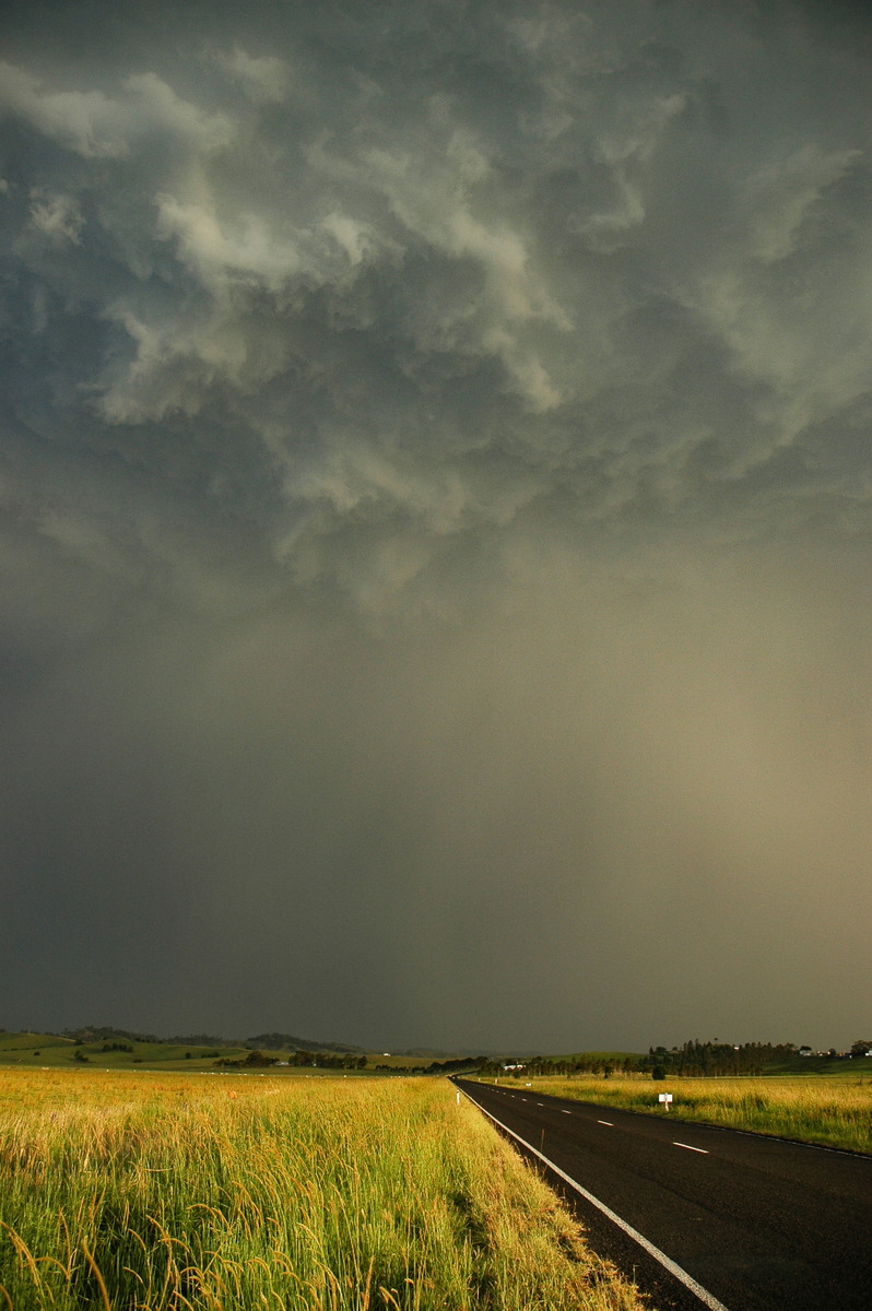 cumulonimbus thunderstorm_base : S of Kyogle, NSW   29 November 2006