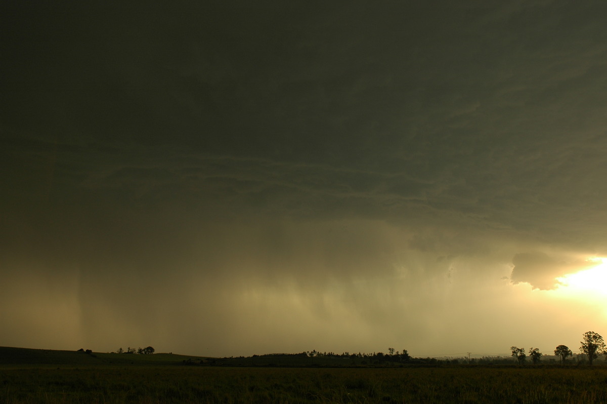 cumulonimbus thunderstorm_base : Kyogle, NSW   29 November 2006