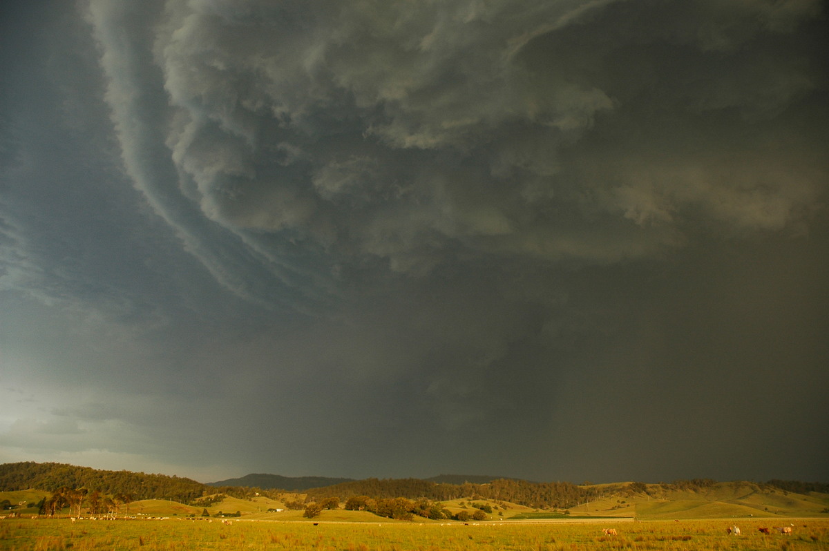 cumulonimbus thunderstorm_base : S of Kyogle, NSW   29 November 2006