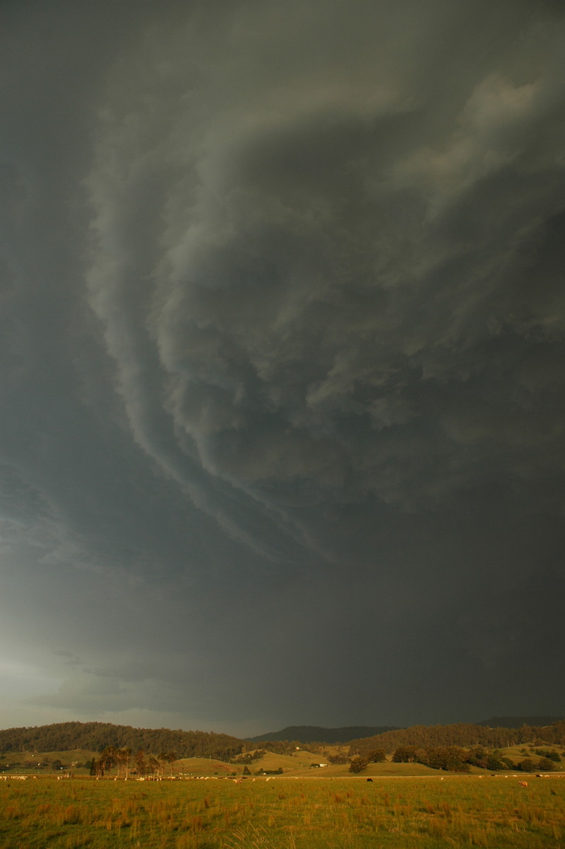 cumulonimbus thunderstorm_base : S of Kyogle, NSW   29 November 2006