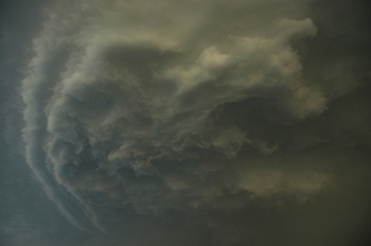 cumulonimbus thunderstorm_base : S of Kyogle, NSW   29 November 2006