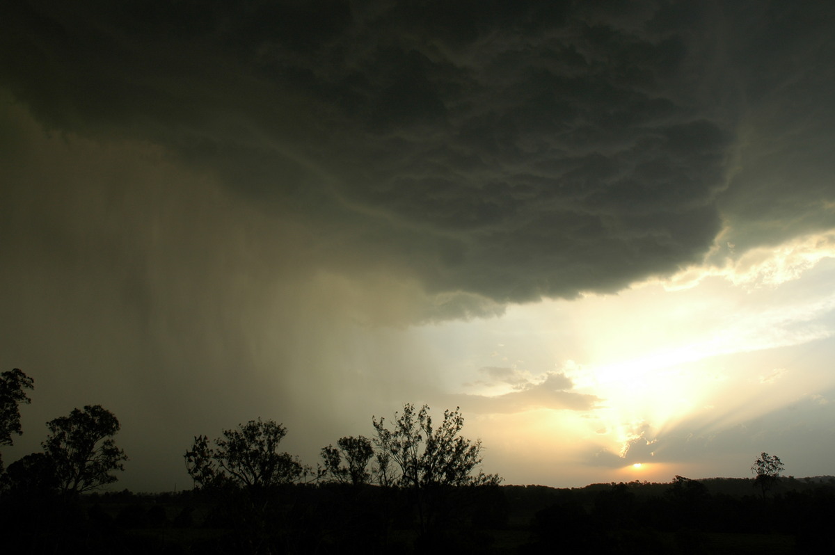 cumulonimbus thunderstorm_base : Kyogle, NSW   29 November 2006