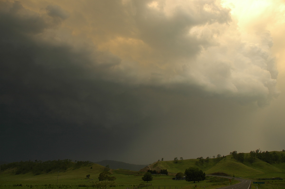 updraft thunderstorm_updrafts : Wiangaree, NSW   29 November 2006