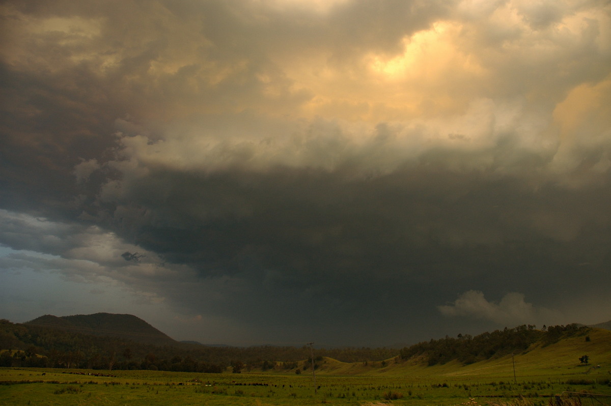 updraft thunderstorm_updrafts : Wiangaree, NSW   29 November 2006