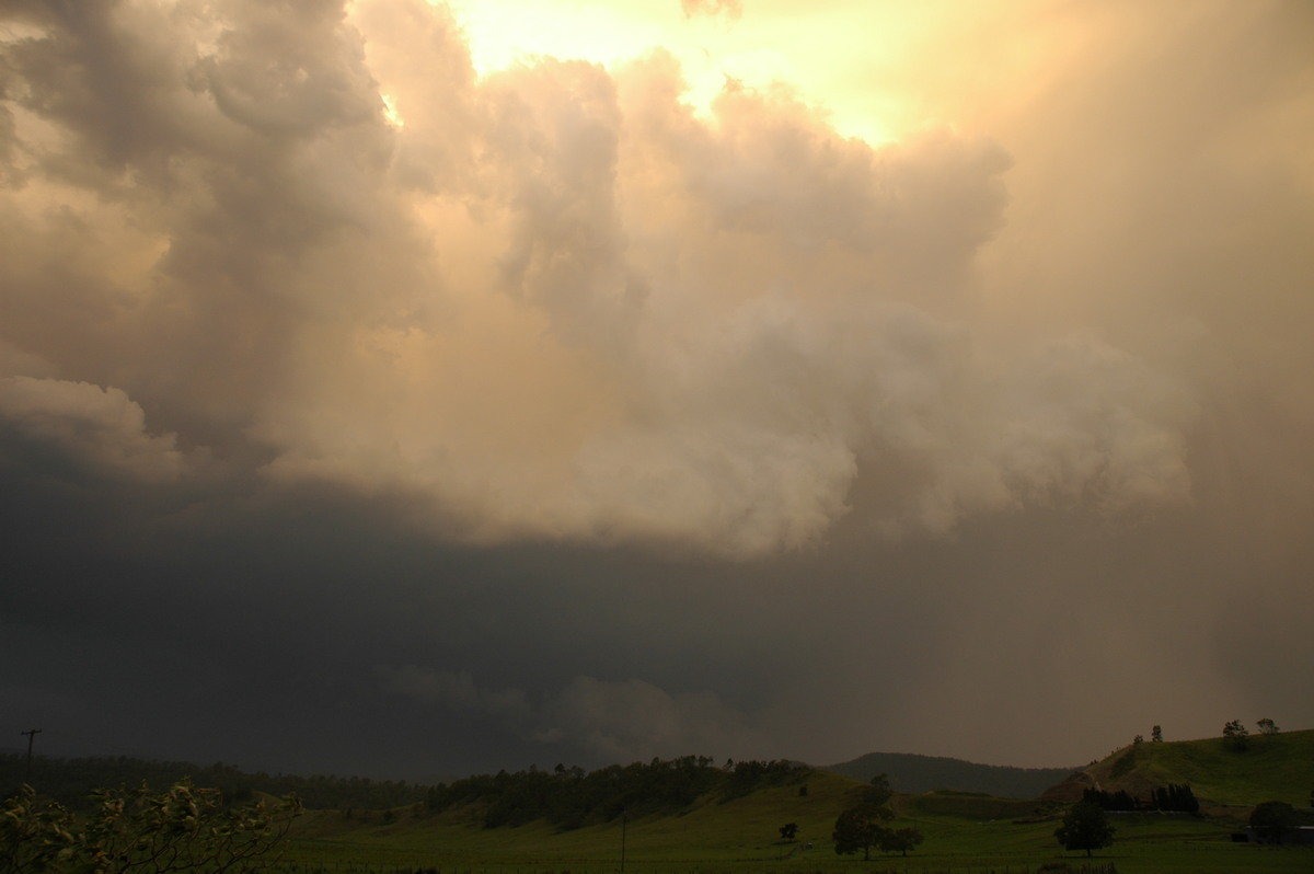 updraft thunderstorm_updrafts : Wiangaree, NSW   29 November 2006