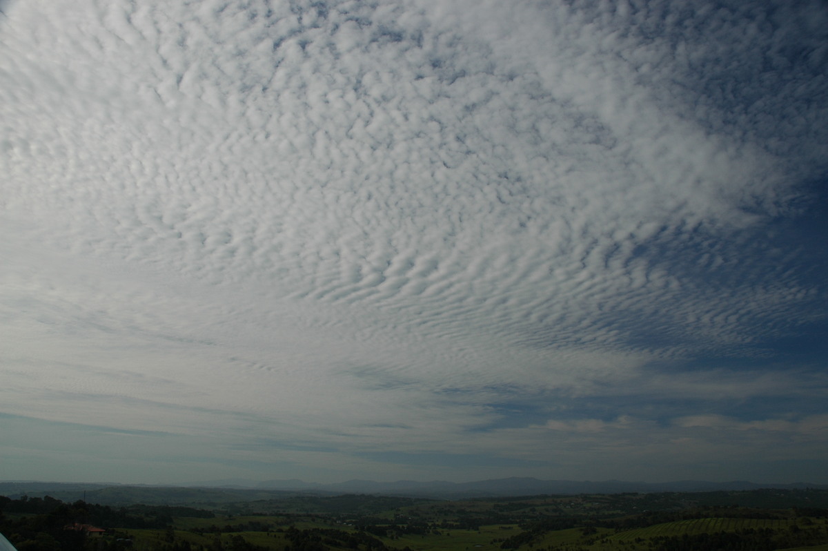 altocumulus mackerel_sky : McLeans Ridges, NSW   1 December 2006